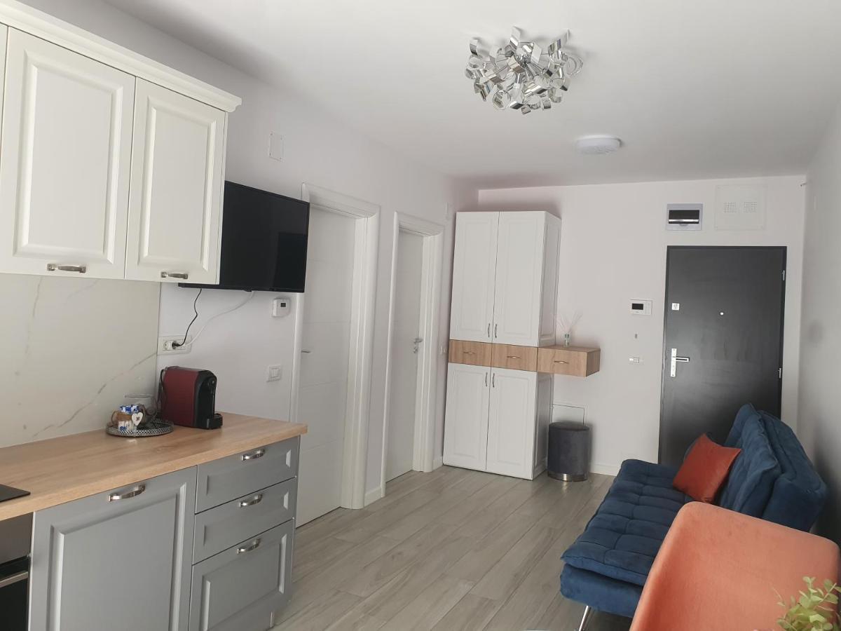 Appartement Ale house à Oradea Extérieur photo
